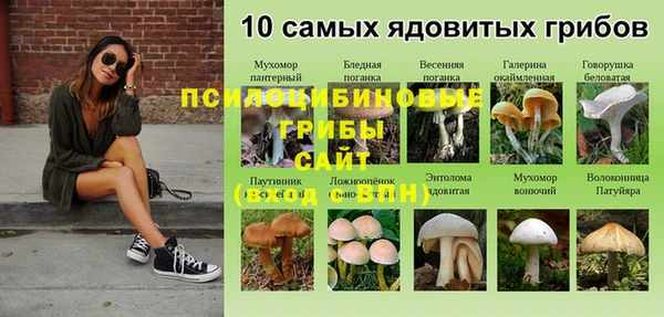 MESCALINE Верхний Тагил