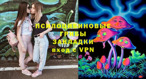 а пвп мука Бугульма