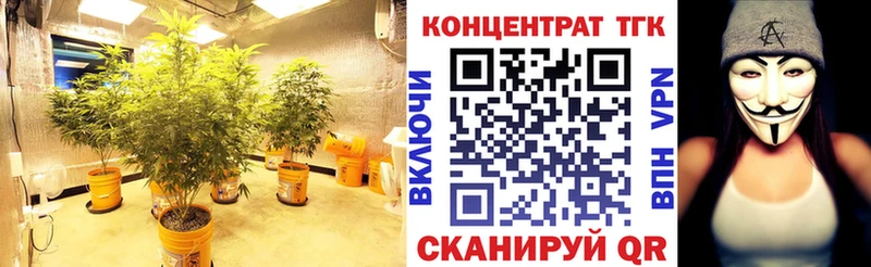 Дистиллят ТГК гашишное масло  Купить закладки  Михайлов 