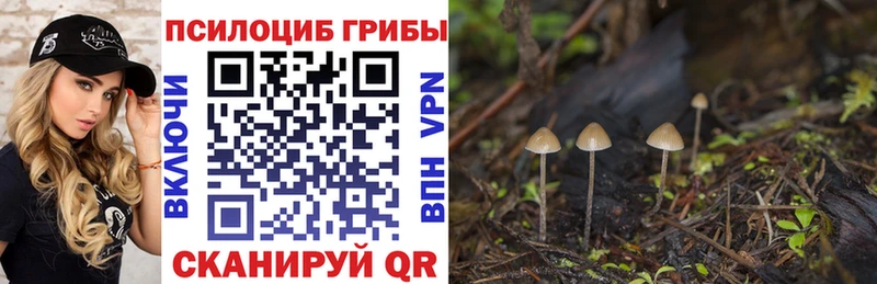 Купить закладки  Михайлов  Псилоцибиновые грибы мицелий 
